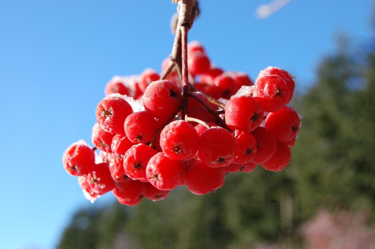 Rifugio Casello Margherita Camigliatello Silano Luaran gambar